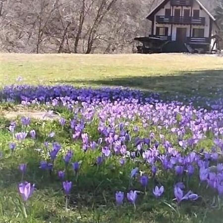 Casa De Vacanta Satic Piatra Craiului La Doi Viermi ภายนอก รูปภาพ
