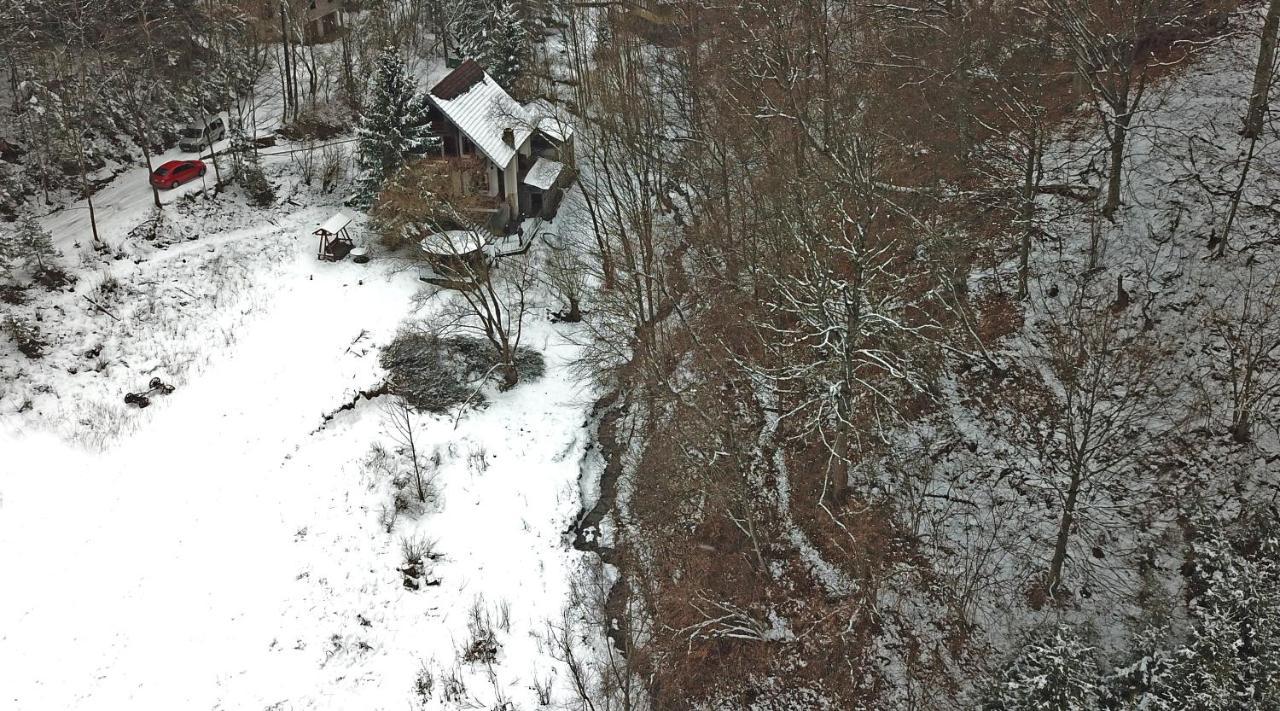 Casa De Vacanta Satic Piatra Craiului La Doi Viermi ภายนอก รูปภาพ
