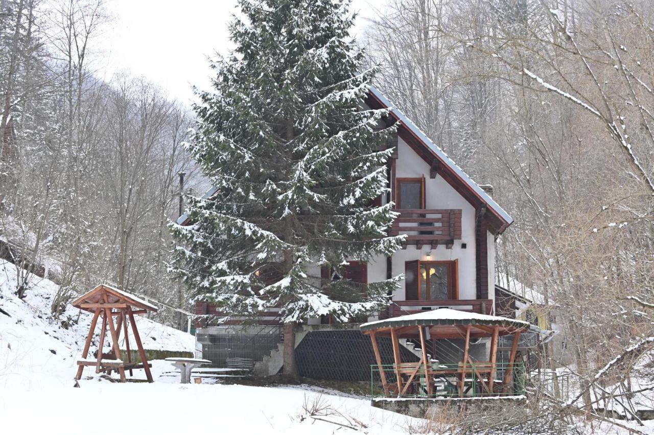 Casa De Vacanta Satic Piatra Craiului La Doi Viermi ภายนอก รูปภาพ