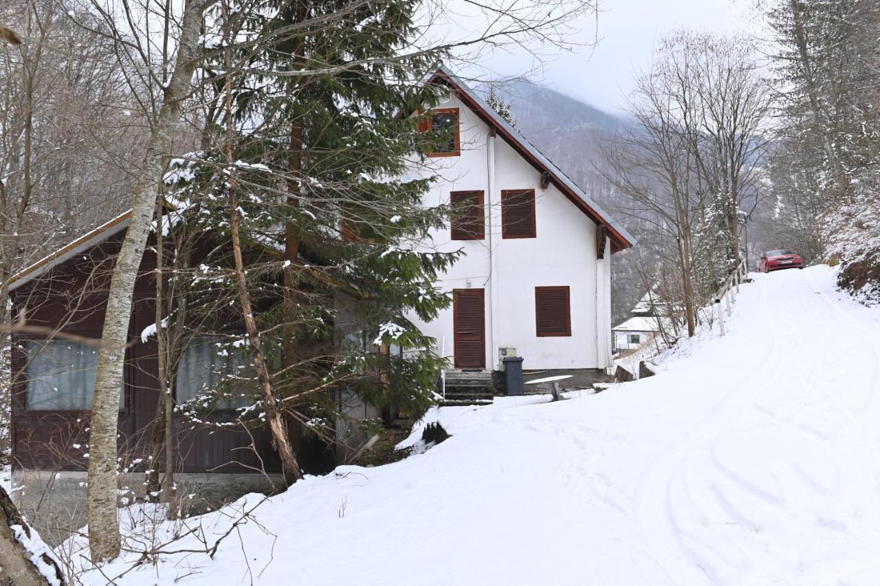 Casa De Vacanta Satic Piatra Craiului La Doi Viermi ภายนอก รูปภาพ