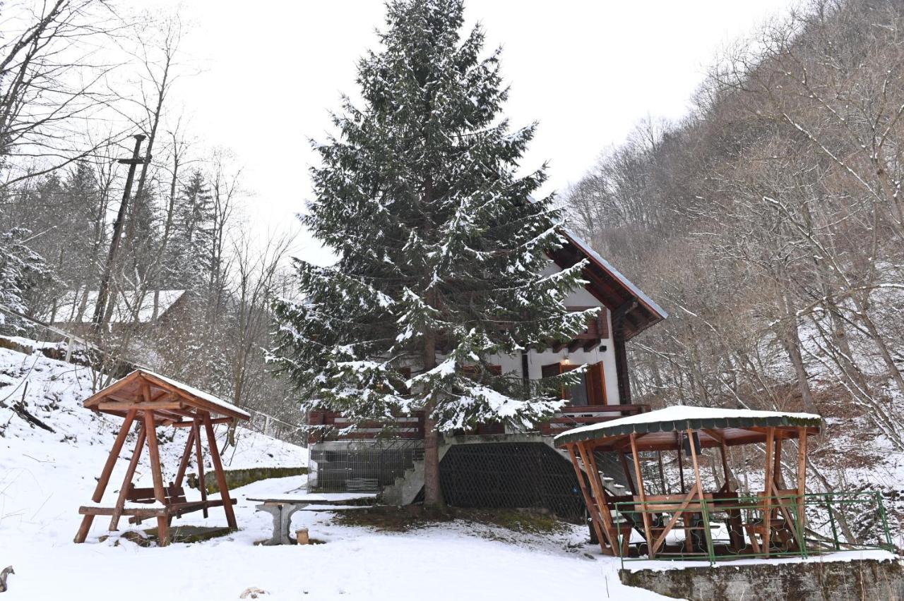 Casa De Vacanta Satic Piatra Craiului La Doi Viermi ภายนอก รูปภาพ