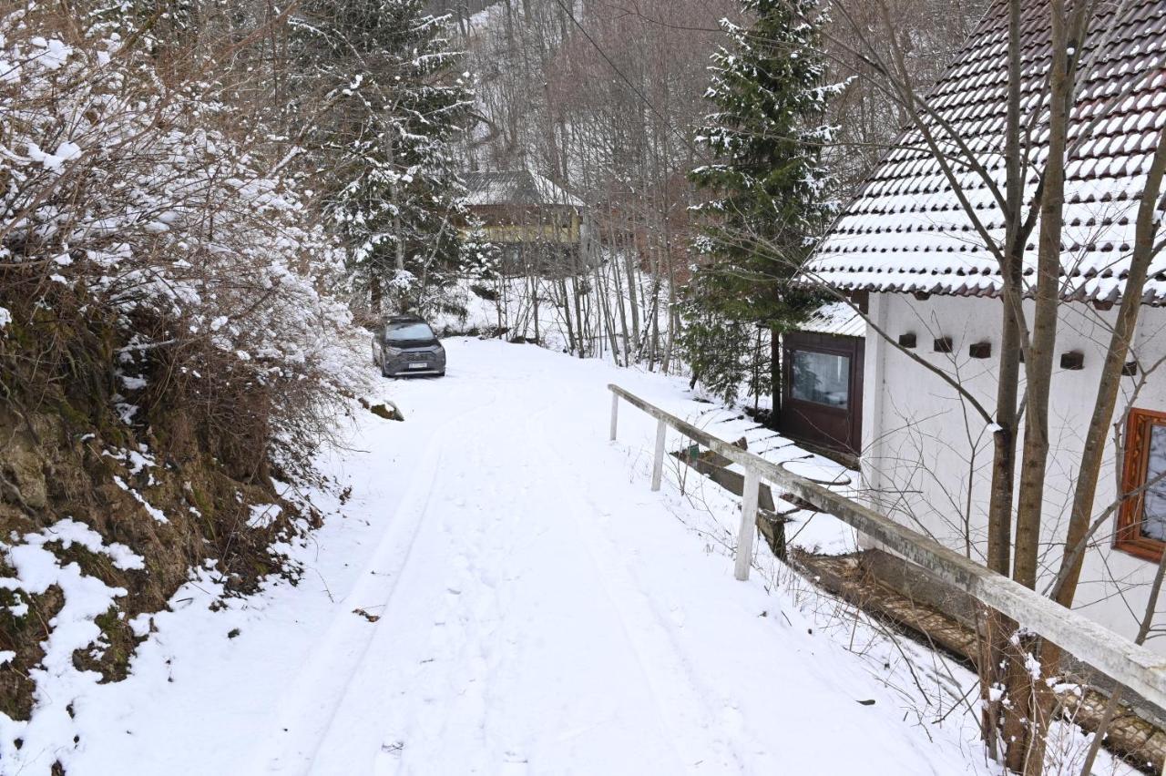 Casa De Vacanta Satic Piatra Craiului La Doi Viermi ภายนอก รูปภาพ