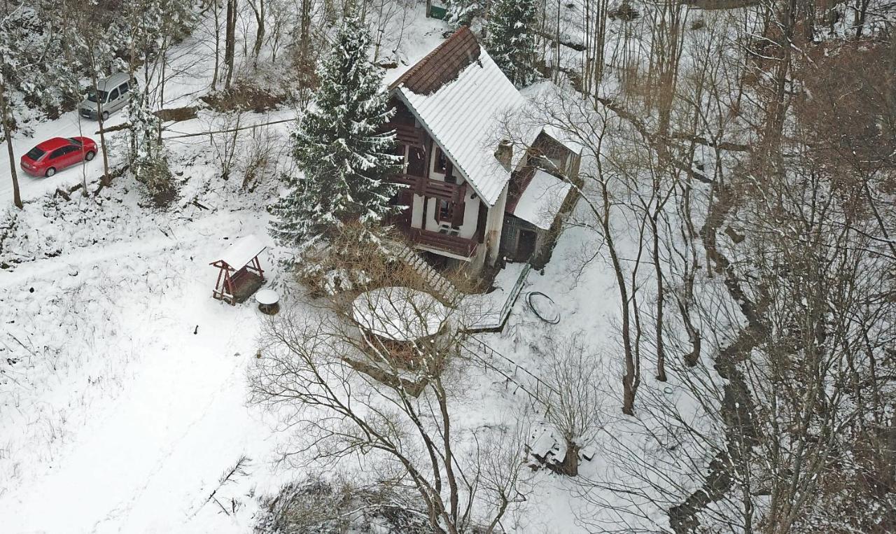 Casa De Vacanta Satic Piatra Craiului La Doi Viermi ภายนอก รูปภาพ