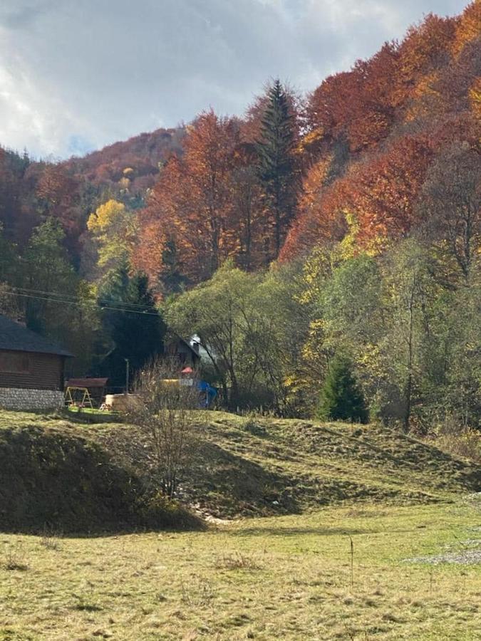 Casa De Vacanta Satic Piatra Craiului La Doi Viermi ภายนอก รูปภาพ
