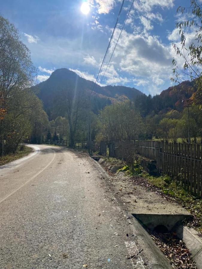 Casa De Vacanta Satic Piatra Craiului La Doi Viermi ภายนอก รูปภาพ