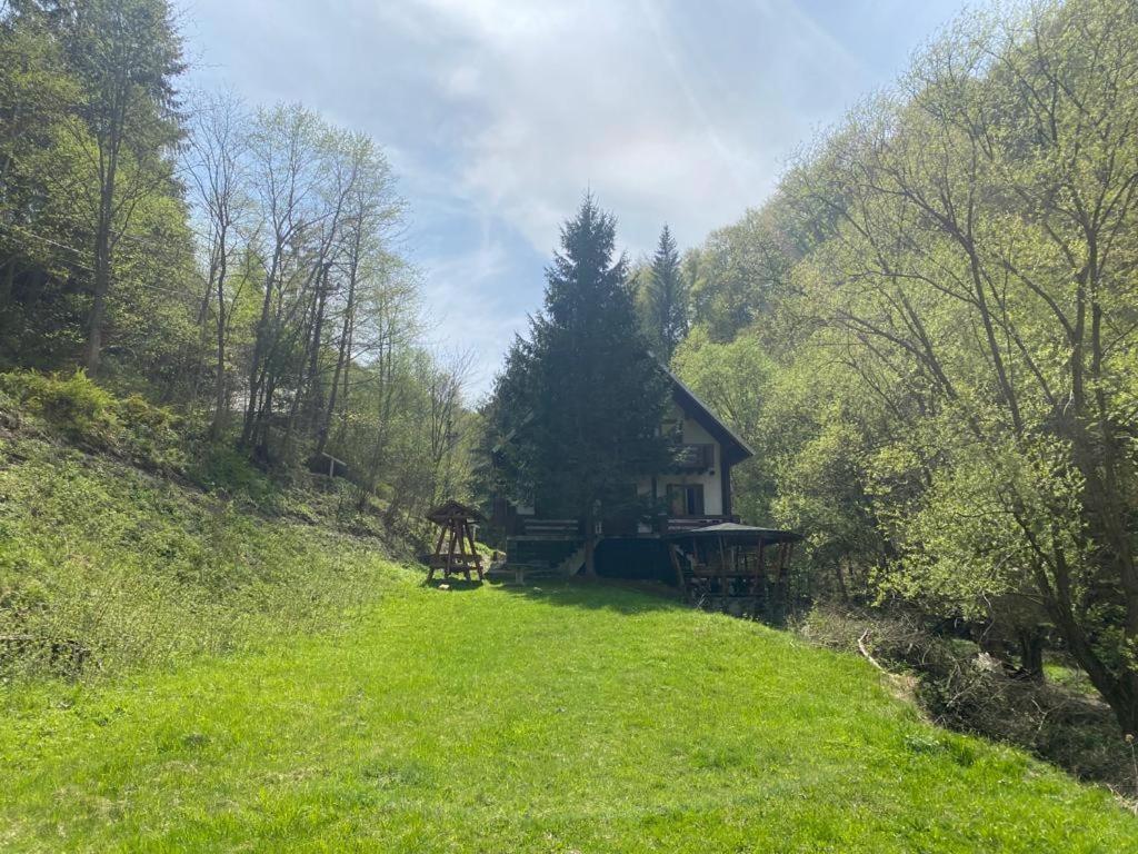 Casa De Vacanta Satic Piatra Craiului La Doi Viermi ภายนอก รูปภาพ