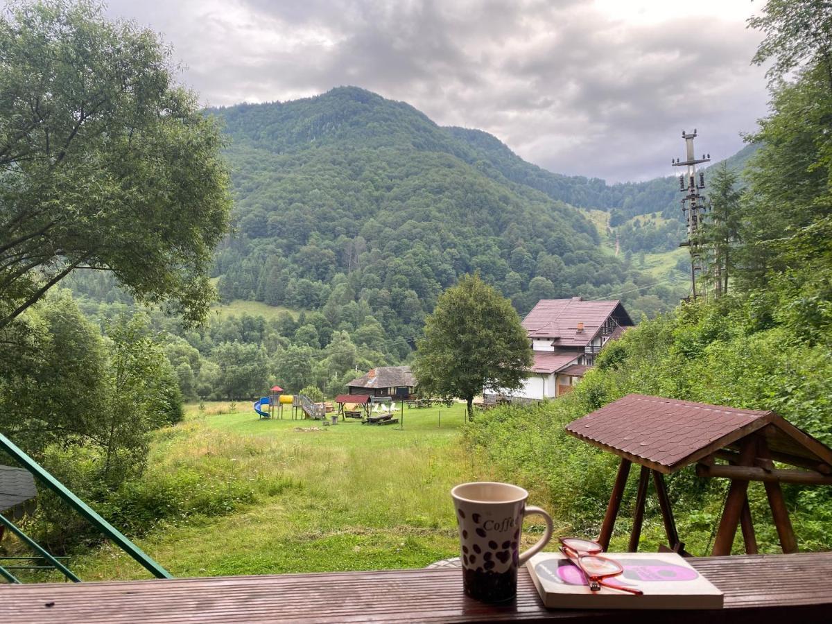 Casa De Vacanta Satic Piatra Craiului La Doi Viermi ภายนอก รูปภาพ