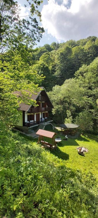 Casa De Vacanta Satic Piatra Craiului La Doi Viermi ภายนอก รูปภาพ