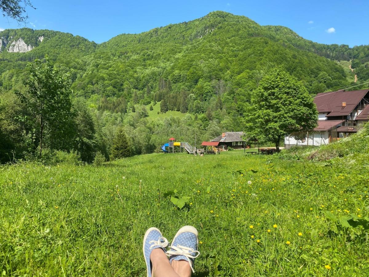Casa De Vacanta Satic Piatra Craiului La Doi Viermi ภายนอก รูปภาพ