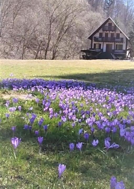 Casa De Vacanta Satic Piatra Craiului La Doi Viermi ภายนอก รูปภาพ