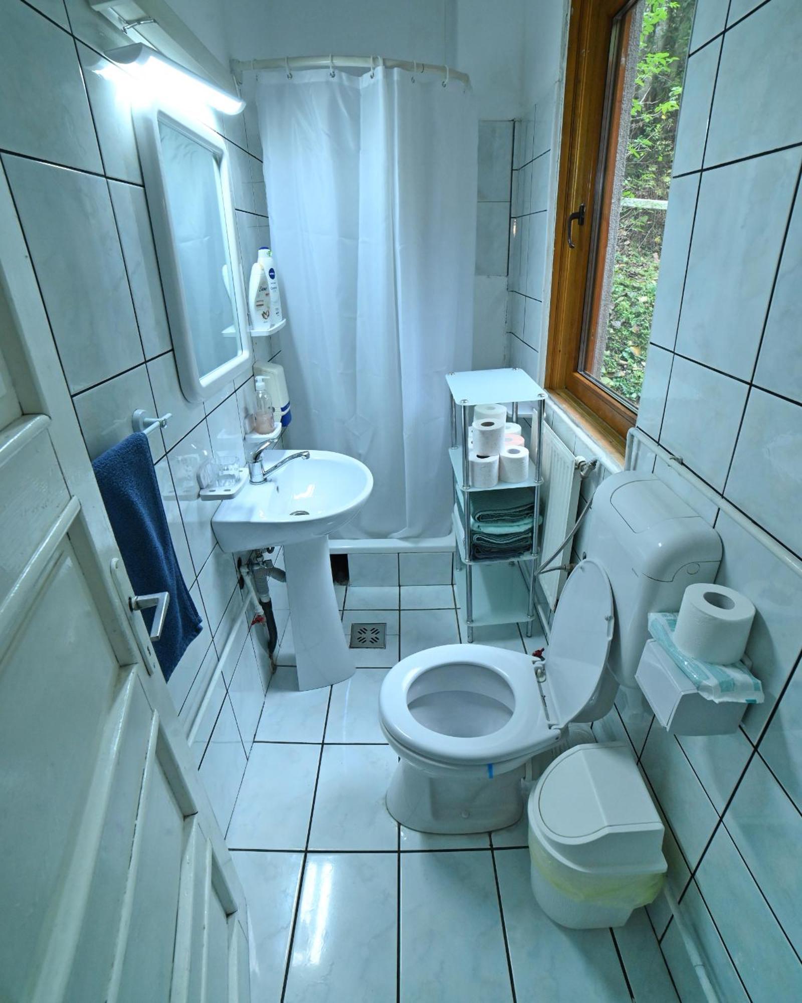 Casa De Vacanta Satic Piatra Craiului La Doi Viermi ภายนอก รูปภาพ